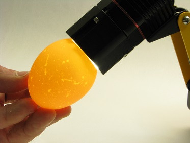 Овоскоп Orka Food Technology Orka Egg OR-Candler - фото 2 - id-p176154075