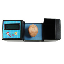 Прибор для мониторинга здоровья эмбриона в яйце птицы Avitronics Buddy