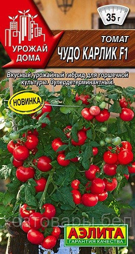 Томат Чудо карлик F1 10шт Дет Ранн (Аэлита) Урожай дома - фото 1 - id-p176153827