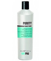 KayPro Очищающий шампунь против перхоти Purity Scalp Care 350 мл