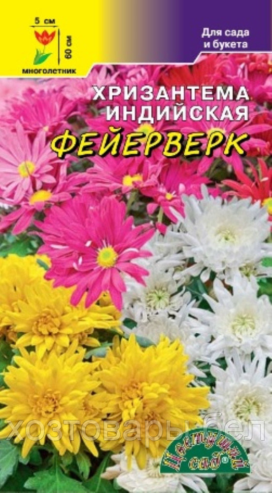 Хризантема Индийская Фейерверк 0,02г Одн 60см (Цвет сад) - фото 1 - id-p176216307