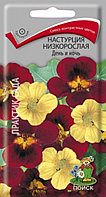 Настурция День и Ночь низкорослая 1г Одн 30см (Поиск)