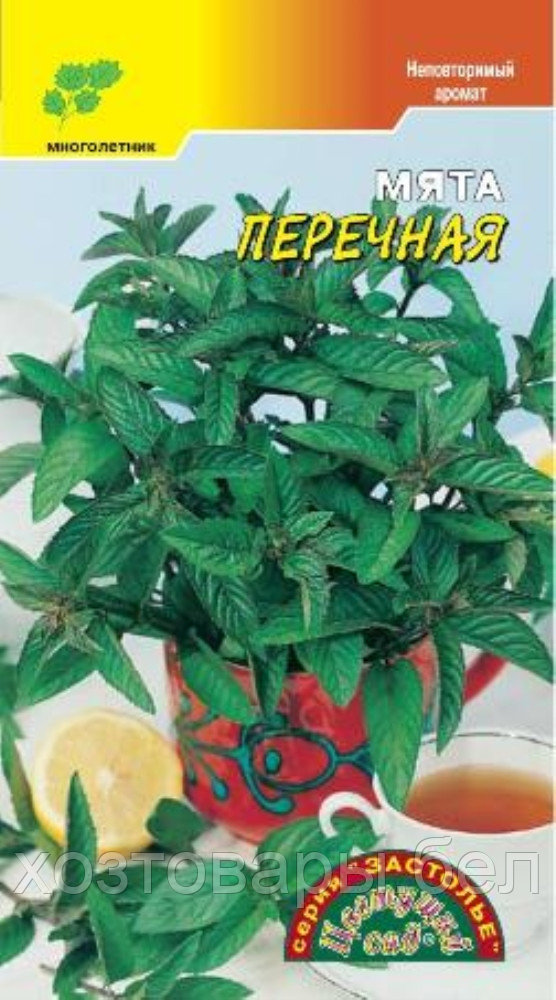 Семена Мяты Купить