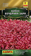 Колеус Блюме Вечерняя Заря 10шт Одн 35см (Аэлита)