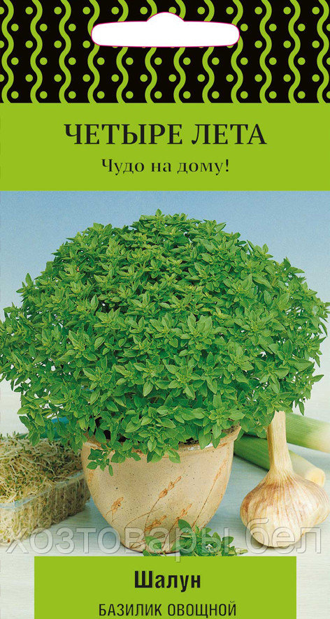 Базилик Шалун 0,1г Ср (Поиск) Четыре лета - фото 1 - id-p176216411