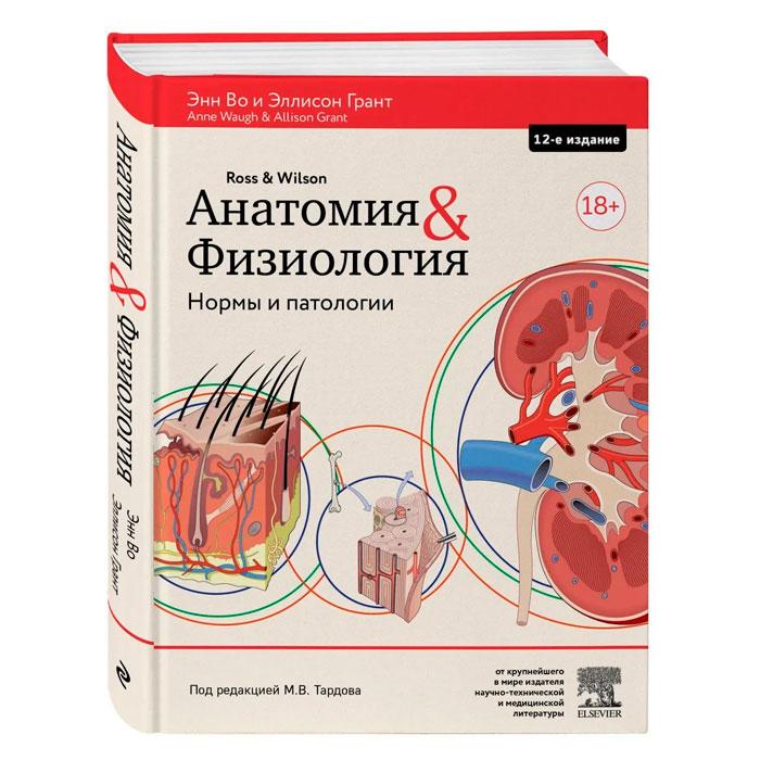 Анатомия и физиология. Нормы и патологии - фото 1 - id-p176230933