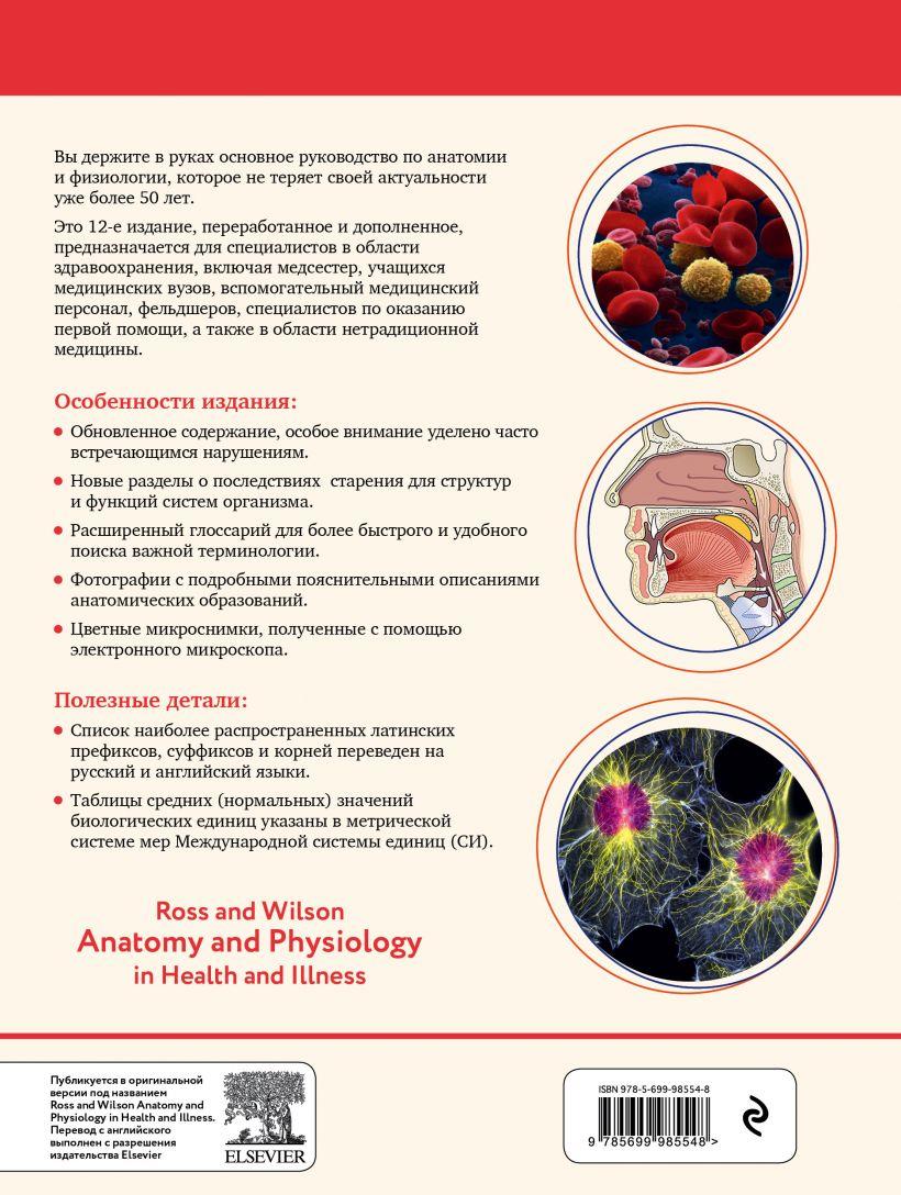 Анатомия и физиология. Нормы и патологии - фото 3 - id-p176230933