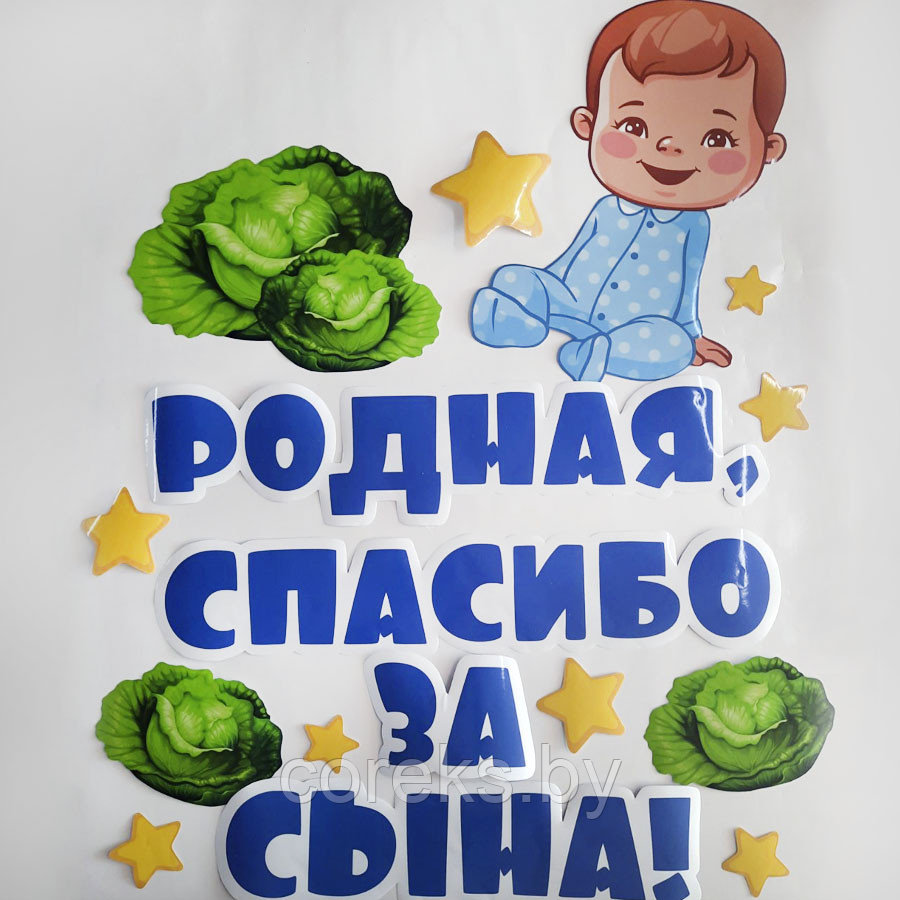 Наклейки на выписку из роддома "Родная, спасибо за сына" - фото 1 - id-p176266510