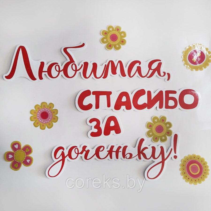 Наклейки на выписку из роддома "Любимая, спасибо за доченьку!" - фото 1 - id-p176266551