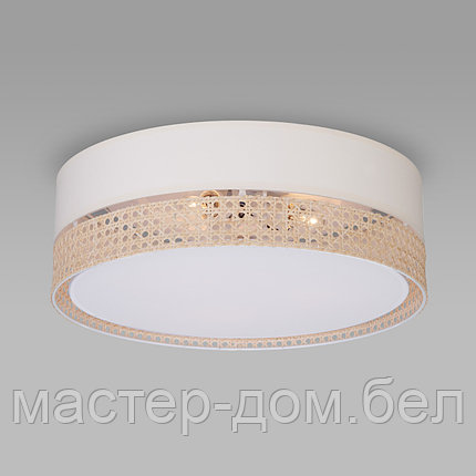 TK Lighting 6690, фото 2