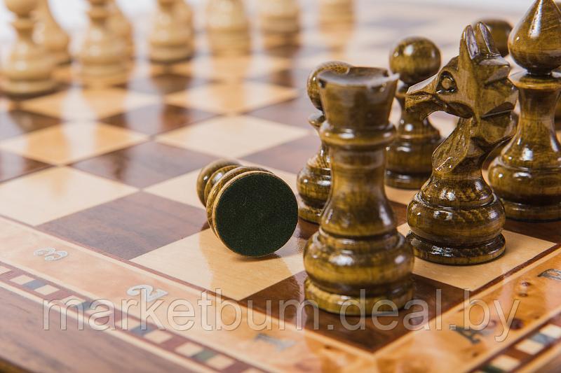 Шахматы Турнирные-3 инкрустация 40, AZ108, Zeynalyan - фото 6 - id-p176312159