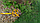 Бур садовый Торнадика "Супер бур Комбо" для тяжелой почвы, глубина бурения 1.2 м, фото 5