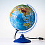 Глобус Земли Физико-политический 25см с подсветкой, фото 2