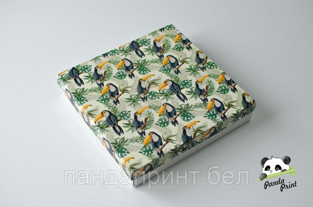 Коробка 260х255х50 Туканы (белое дно)