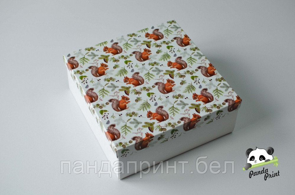 Коробка 260х255х100 Белки (белое дно)