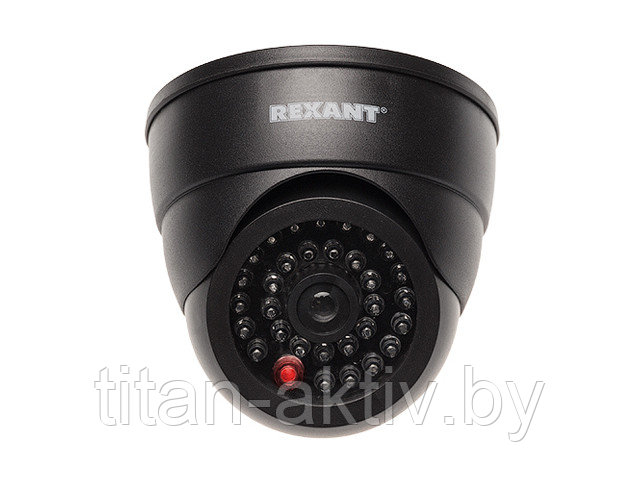 Муляж камеры внутренней, купольная с вращающимся объективом (черная) REXANT - фото 1 - id-p94980536