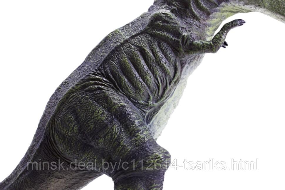 Игрушка RECUR RC16039D-DG Фигурка динозавра Тираннозавр Рекс (темный) 51 см - фото 5 - id-p115630948