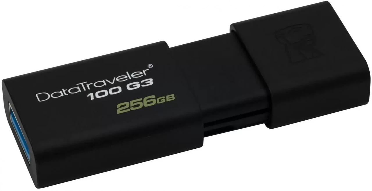 USB Flash (USB 3.0) 256GB Kingston DataTraveler DT100-G3