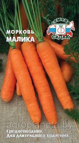 Морковь МАЛИКА (гранулы), 200с