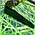 Плоскорез Торнадика TORNADO (прополка, рыхление, окучивание, обработка междурядий) 140 см, фото 8
