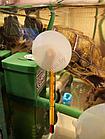 Barbus Термометр стеклянный тонкий малый с присоской в блистере, 8 см Accessory 004, фото 3