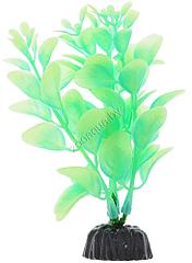 Barbus Растение для аквариума Plant 057/10 Людвигия 10см