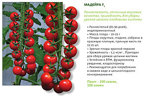 Томат черри Мадейра раннеспелый (Рассада), фото 2