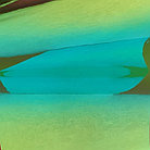 Пленка ПУ хамелеон самоклеящаяся, зеленая, фото 2