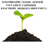 Замачивание семян, корней рассады и саженцев в растворе жидкого биогумуса