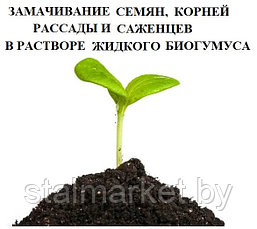 Замачивание семян, корней рассады и саженцев в растворе жидкого биогумуса