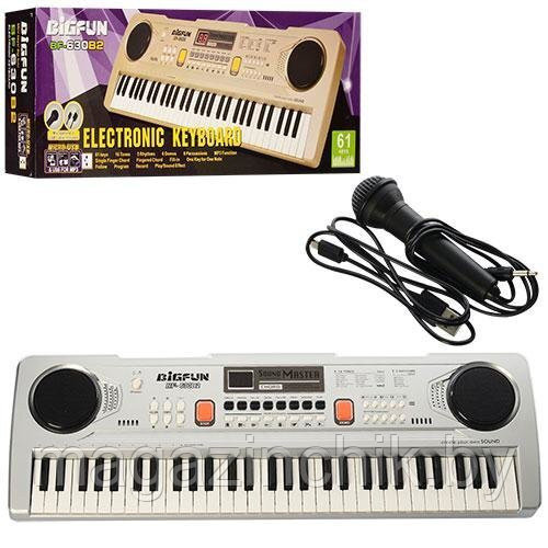 Детский синтезатор пианино 630B2 микрофон, USB, MP3, запись, 61 клавиша - фото 1 - id-p176665542