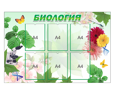 Стенды в кабинет биологии