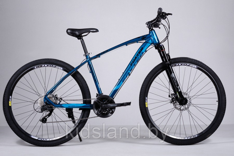 Велосипед Foxter Mexico 29.24 D (синий глянец)