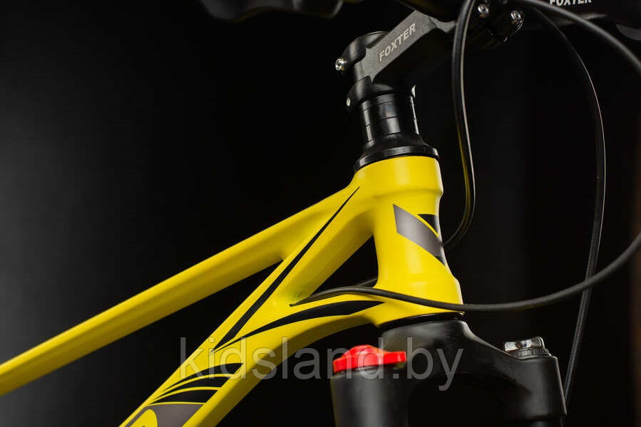 Велосипед Foxter Balance 2.1 24 D" (розовый) - фото 9 - id-p175015450