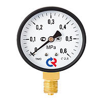 Манометр ТМ-310Р.00(0-1MPa) M12x1,5.2,5.Зав.№.O2 кислород