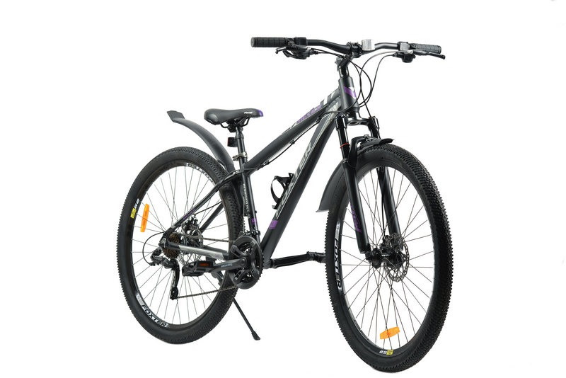 Велосипед Foxter Mexico 29 D (черно/фиолетовый)