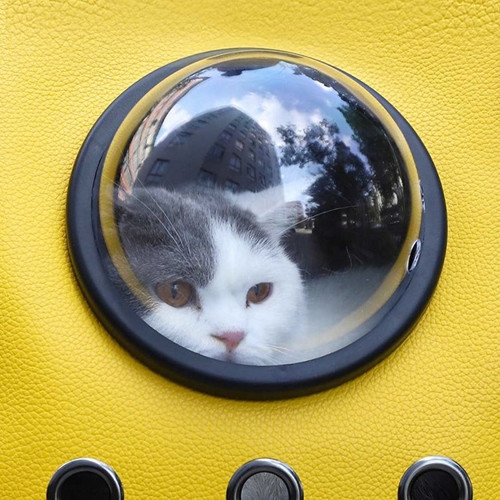 Переноска-рюкзак для животных Small Animal Star Space Capsule Shoulder Bag (Желтый) - фото 4 - id-p158671605