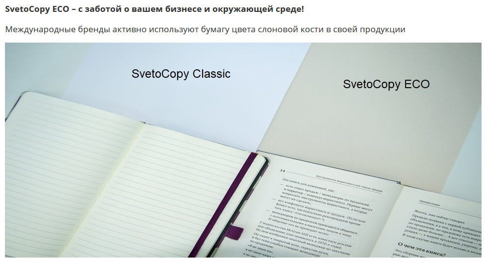 Бумага "SvetoCopy ECO", A4, 500 листов, 80 г/м2 - фото 9 - id-p176894874
