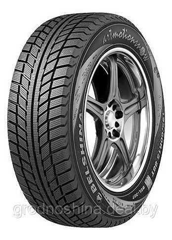 Шины зимние 205/55R16 Bel-317 Artmotion 91t