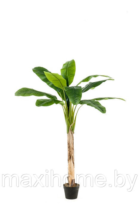 Растение искусственное БАНАНОВОЕ ДЕРЕВО 1,50 м - фото 1 - id-p160863533