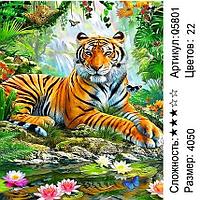 Картина по номерам Тигрище (Q5801) 40х50 см