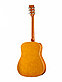 HOMAGE LF-4110-N Акустическая гитара, фото 2