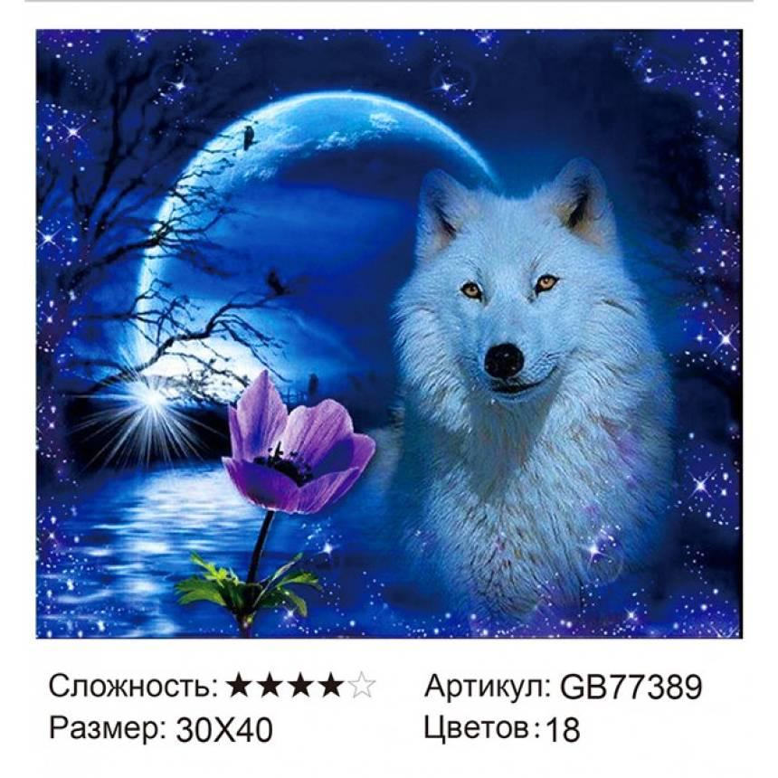 Алмазная мозаика Белый волк (GB77389) круглые стразы - фото 1 - id-p176989168