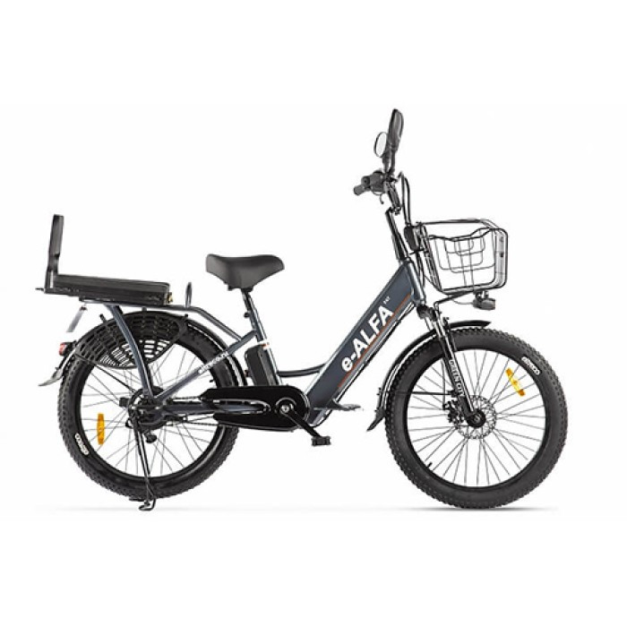 Электровелосипед e-ALFA Fat Тёмно-Серый - фото 1 - id-p177064263