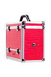 Секс-чемодан Diva Wiggler, с двумя насадками, металл, розовый, 28 см, фото 2