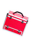 Секс-чемодан Diva Wiggler, с двумя насадками, металл, розовый, 28 см, фото 3