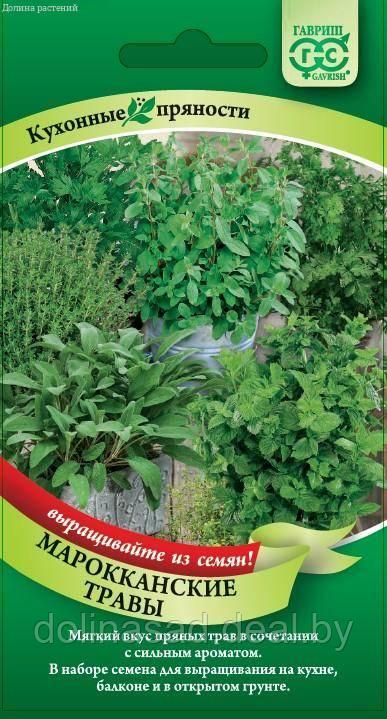 Гавриш Набор семян Марокканские травы 6 пакетов (б/п) Н20 - фото 1 - id-p177203061