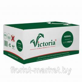 Пена флористическая Victoria Normal Коробка, 20 шт