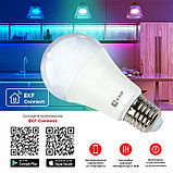 Умная лампа E27 8W WIFI RGBW EKF Connect, фото 3