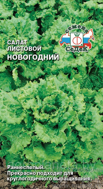 Салат листовой НОВОГОДНИЙ, 0.5г